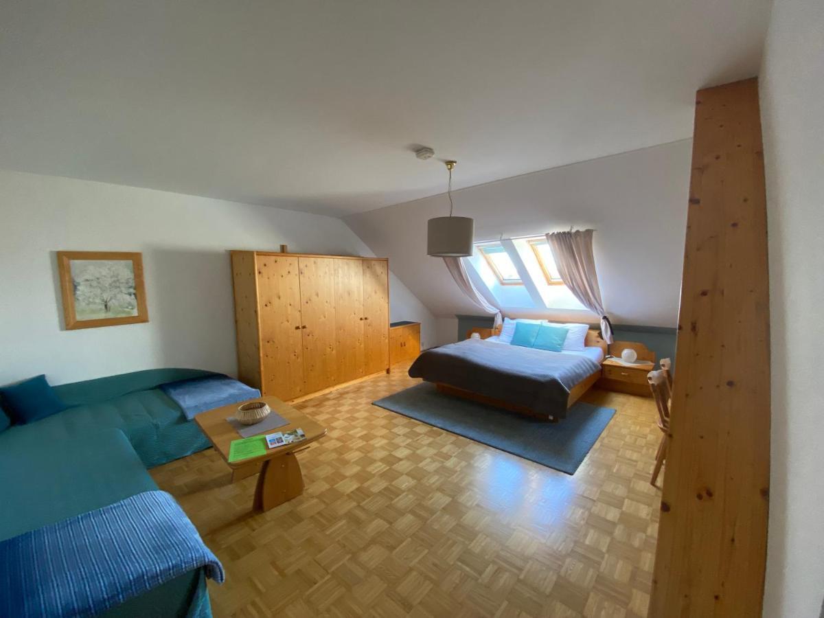 Pension Rucksackpeter Hohenbrugg an der Raab Exterior foto