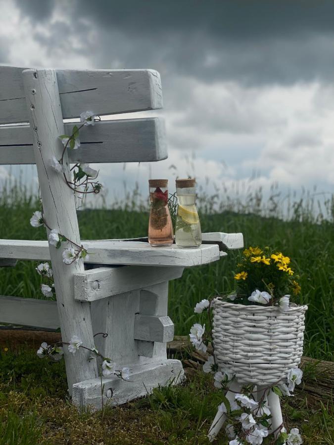 Pension Rucksackpeter Hohenbrugg an der Raab Exterior foto