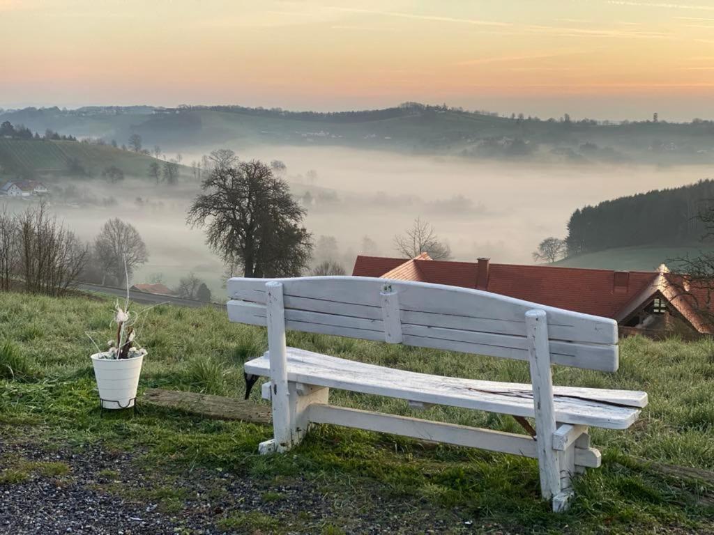 Pension Rucksackpeter Hohenbrugg an der Raab Exterior foto
